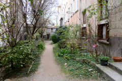 Cliquez sur la vignette pour l'agrandir
